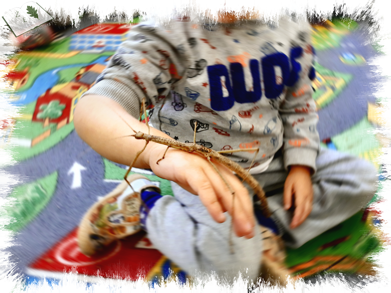 patczerw reka xi2018