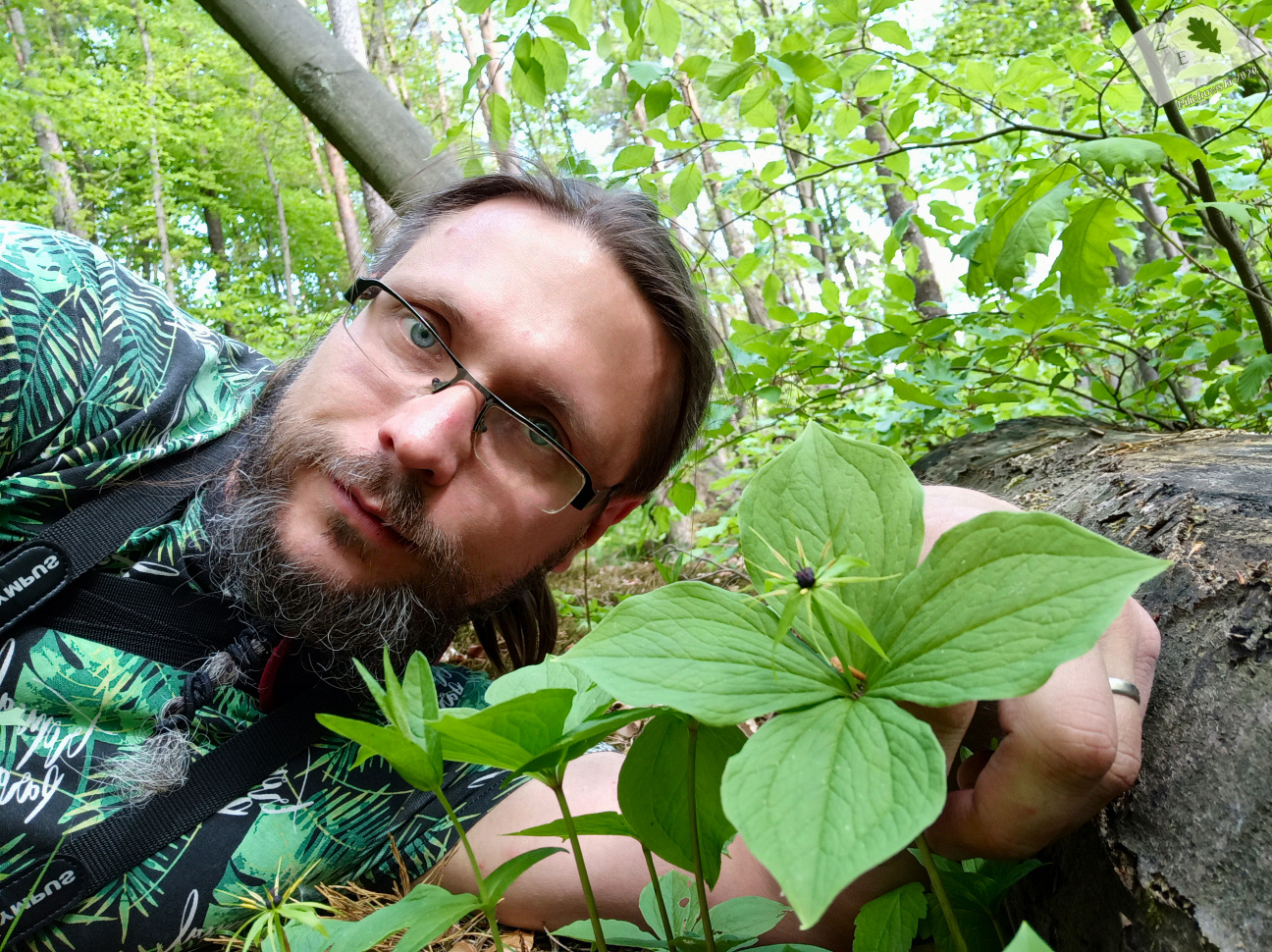 170520 gpk czworolist 01