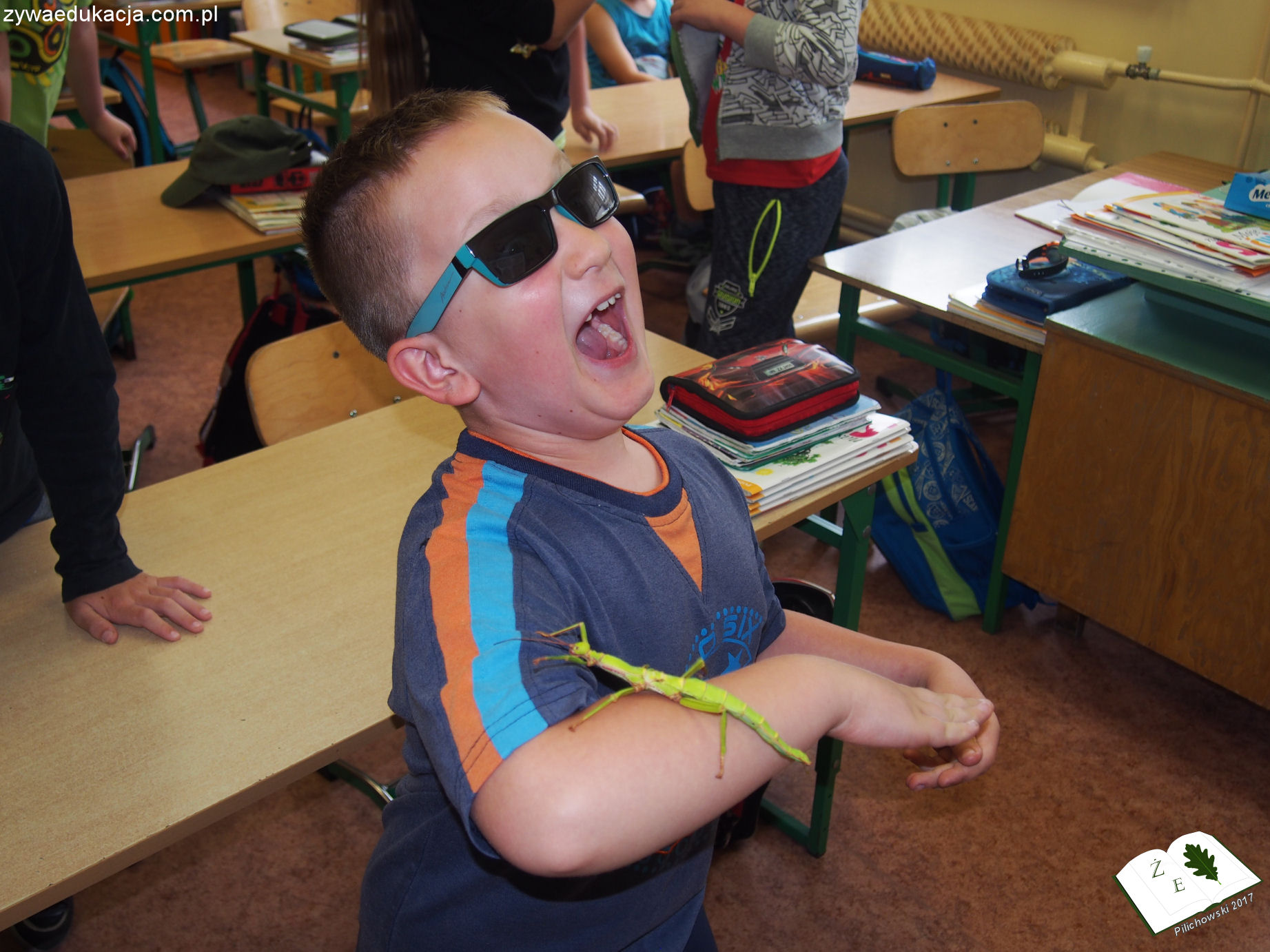 chłopiec z owadem podczas lekcji