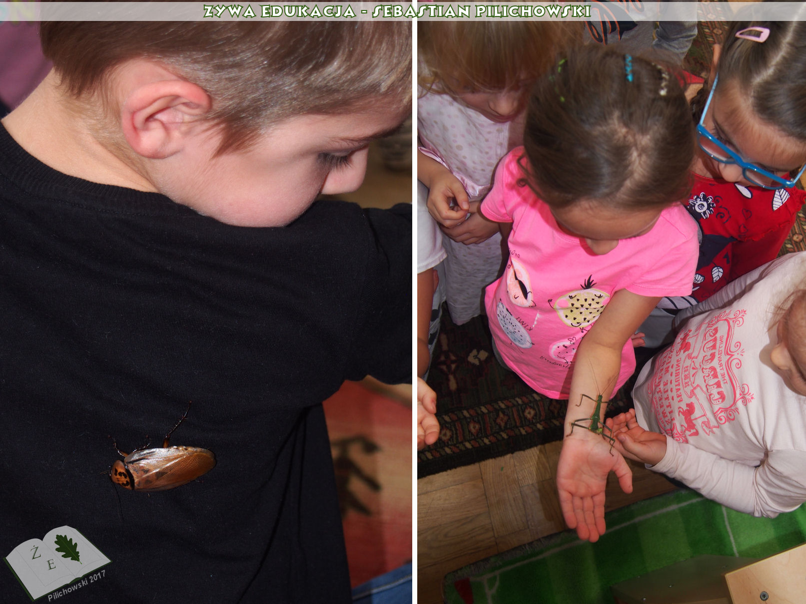 dzieci z owadami podczas zajęć lekcji żywej przyrody