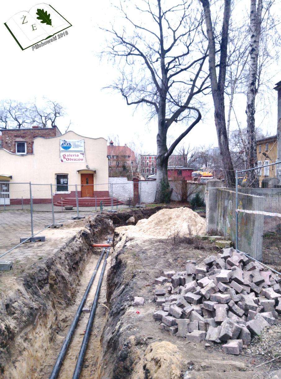 buk plac matejki zielona góra 012018