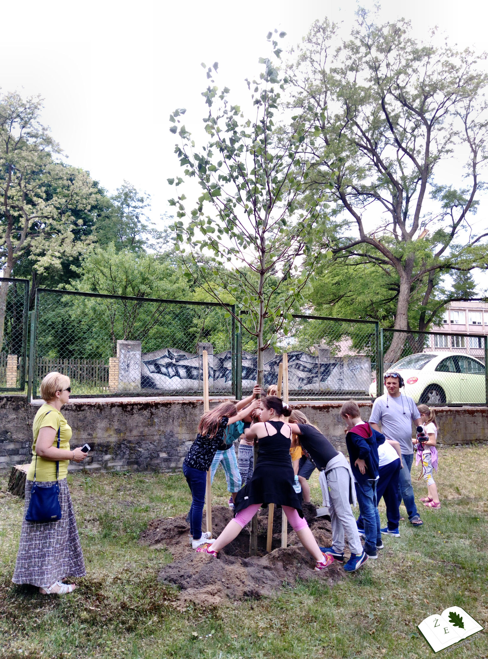 25052018rzg drzewa01