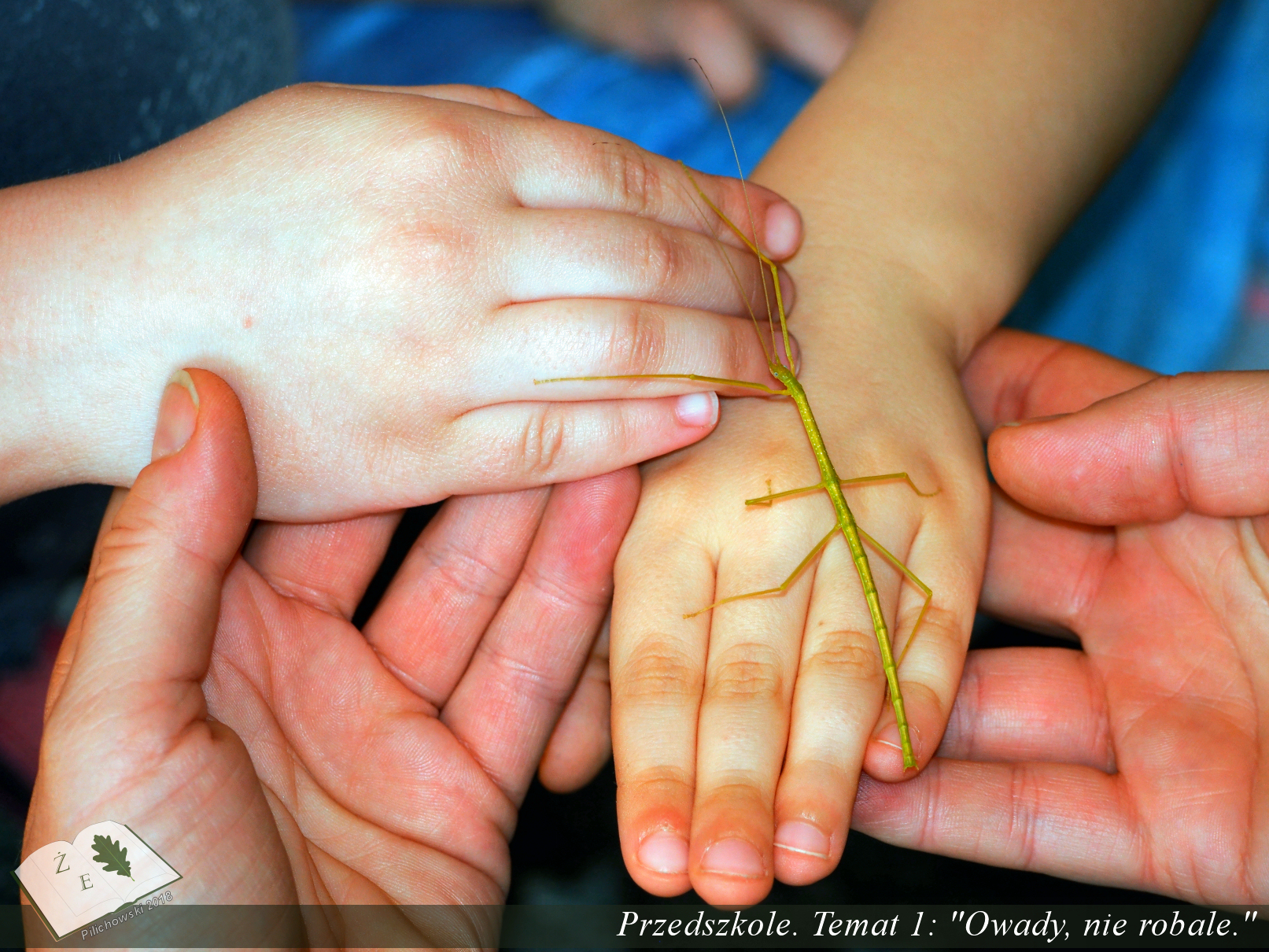 ramulus kobal spien edukacja dla dzieci lekcja żywej przyrody