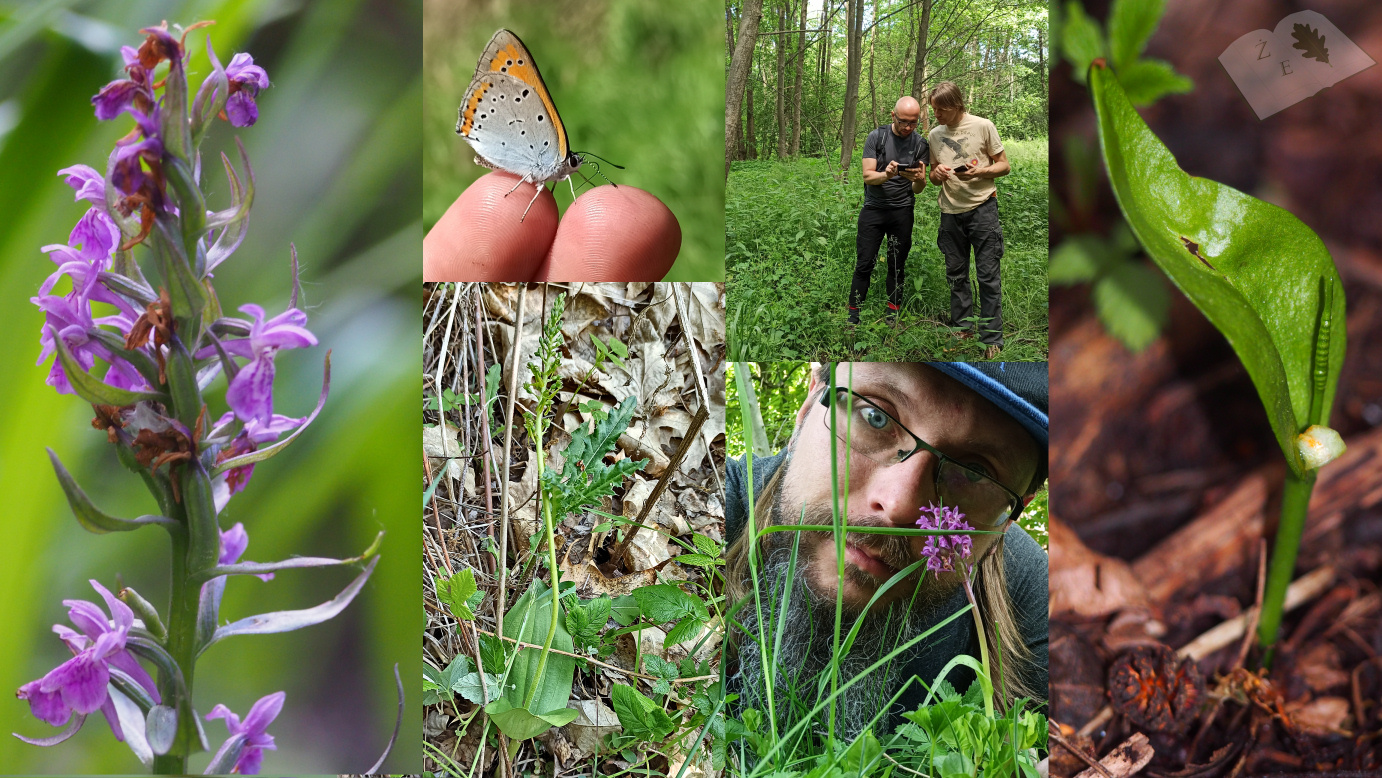 mazurskie zajawka3072020 s