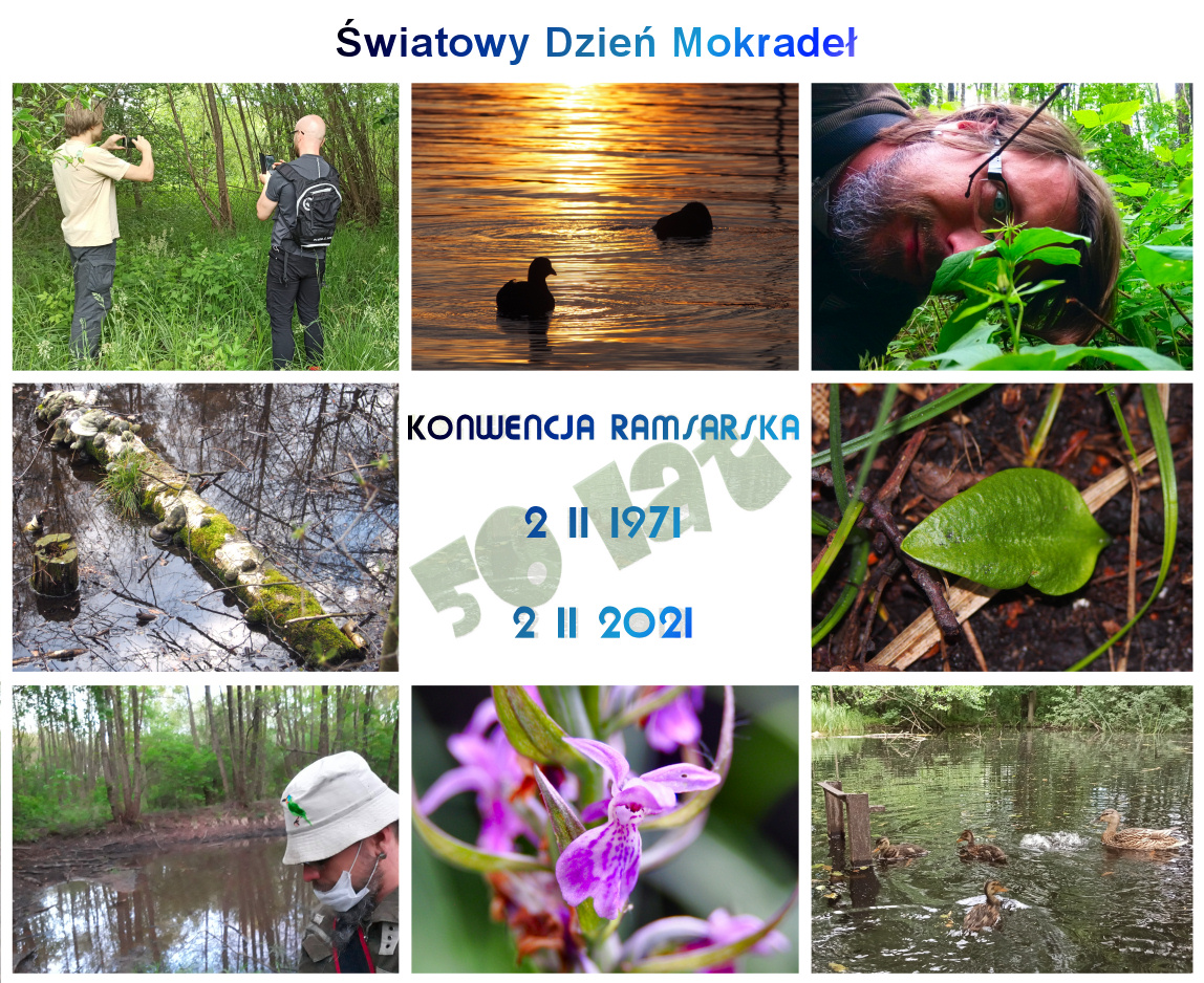 dzien mokradel 2021 s