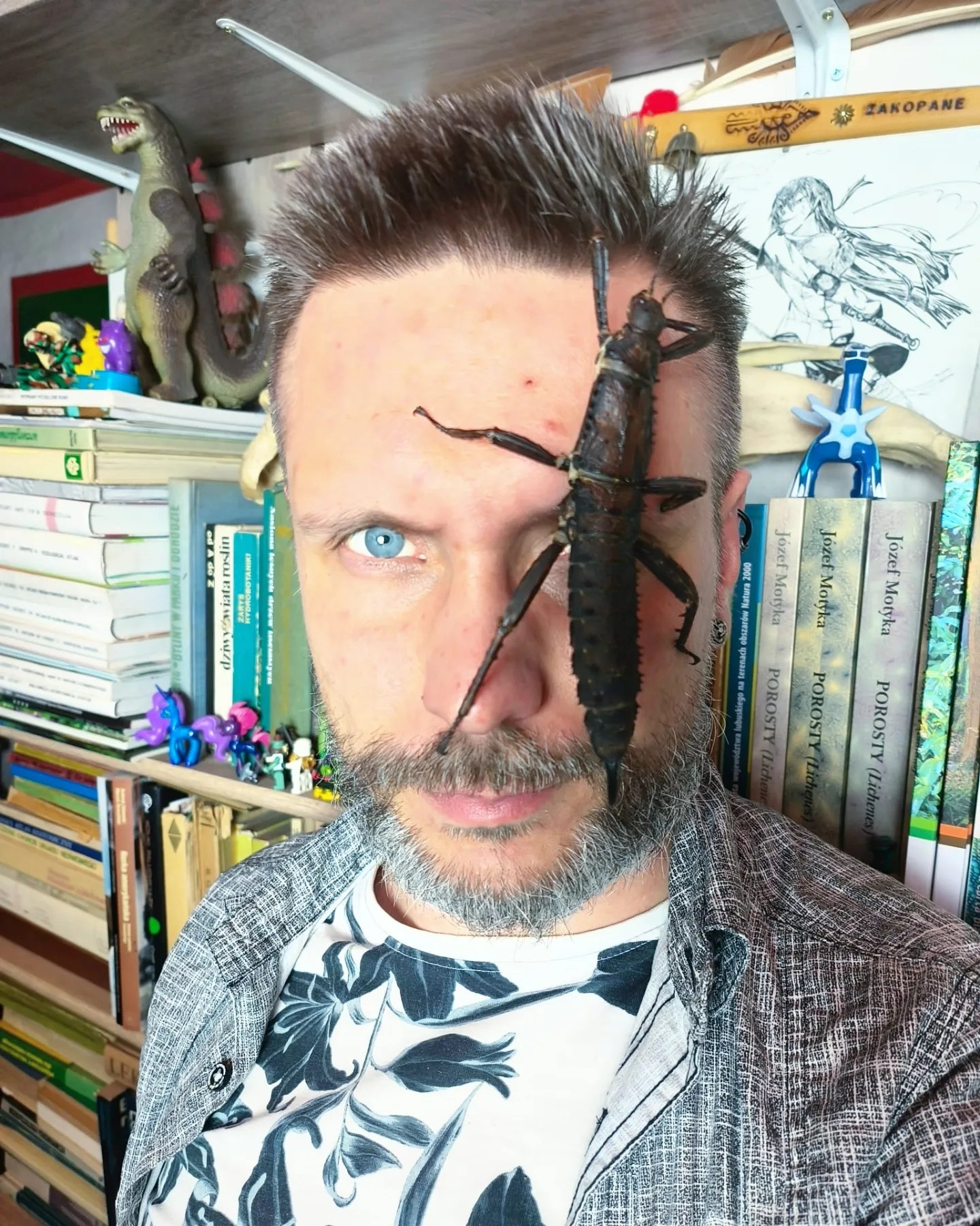 eury cal face 042024