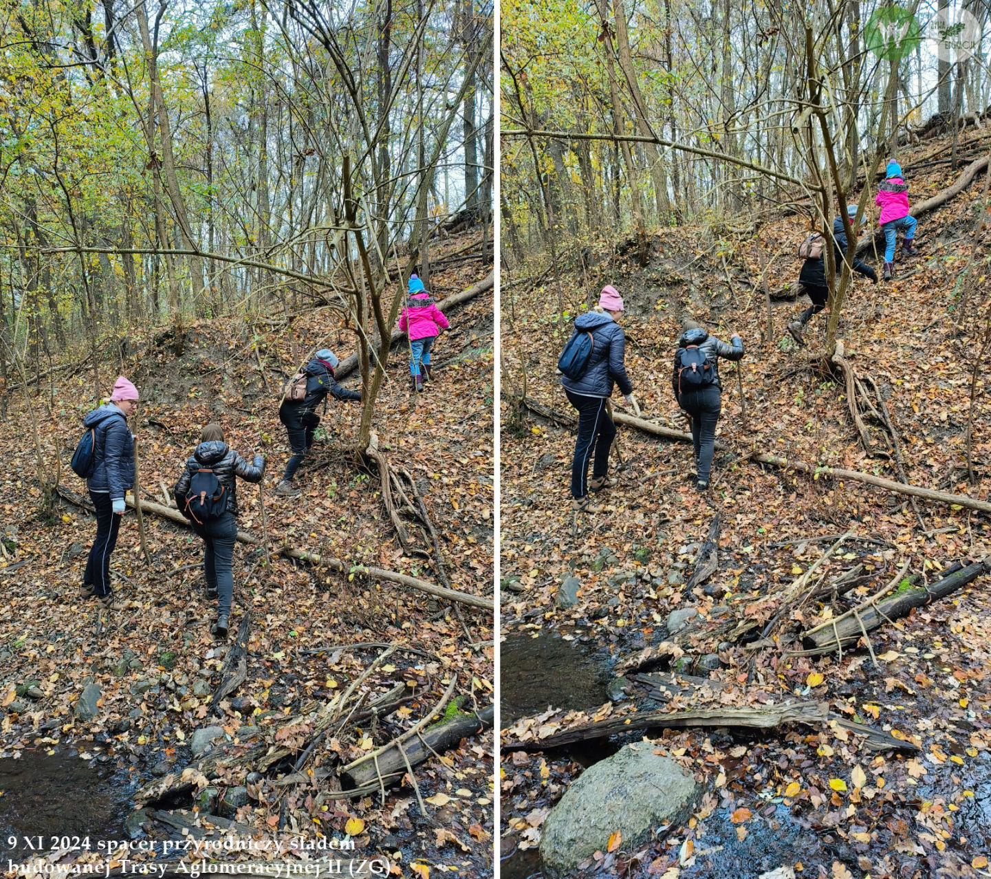 spacer Trasa Aglomeracyjna II Fundacja Wild and Safe Żywa Edukacja Sebastian Pilichowski Miejski Druid 9.11.2024
