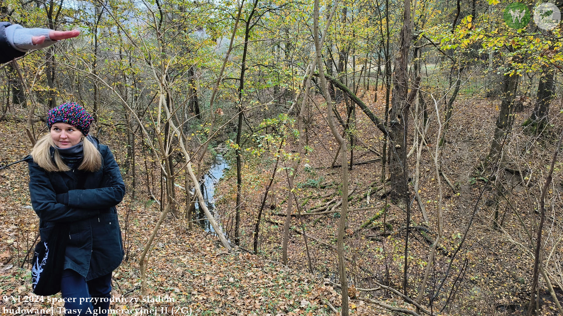spacer Trasa Aglomeracyjna II Fundacja Wild and Safe Żywa Edukacja Sebastian Pilichowski Miejski Druid 9.11.2024