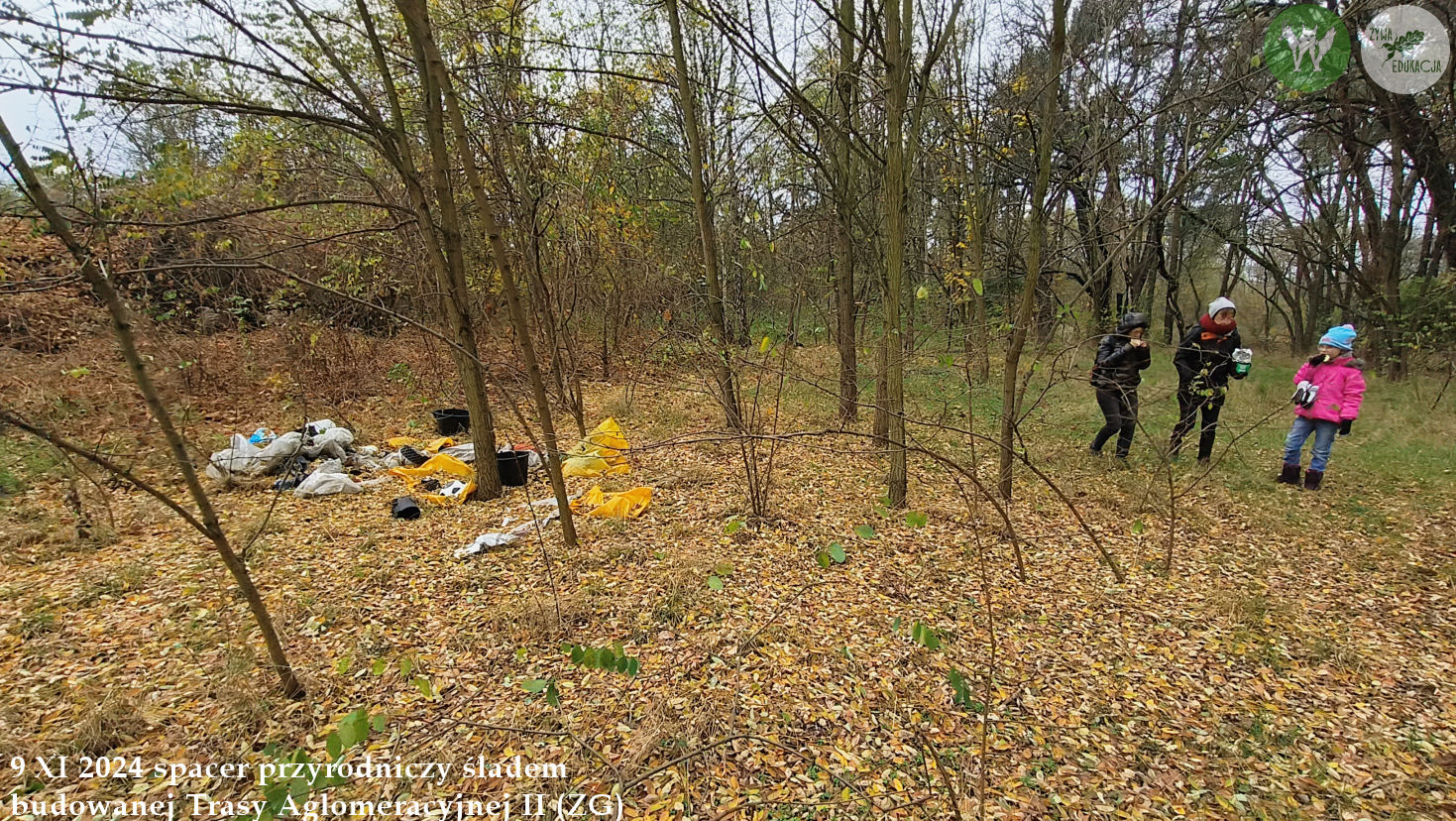 spacer Trasa Aglomeracyjna II Fundacja Wild and Safe Żywa Edukacja Sebastian Pilichowski Miejski Druid 9.11.2024