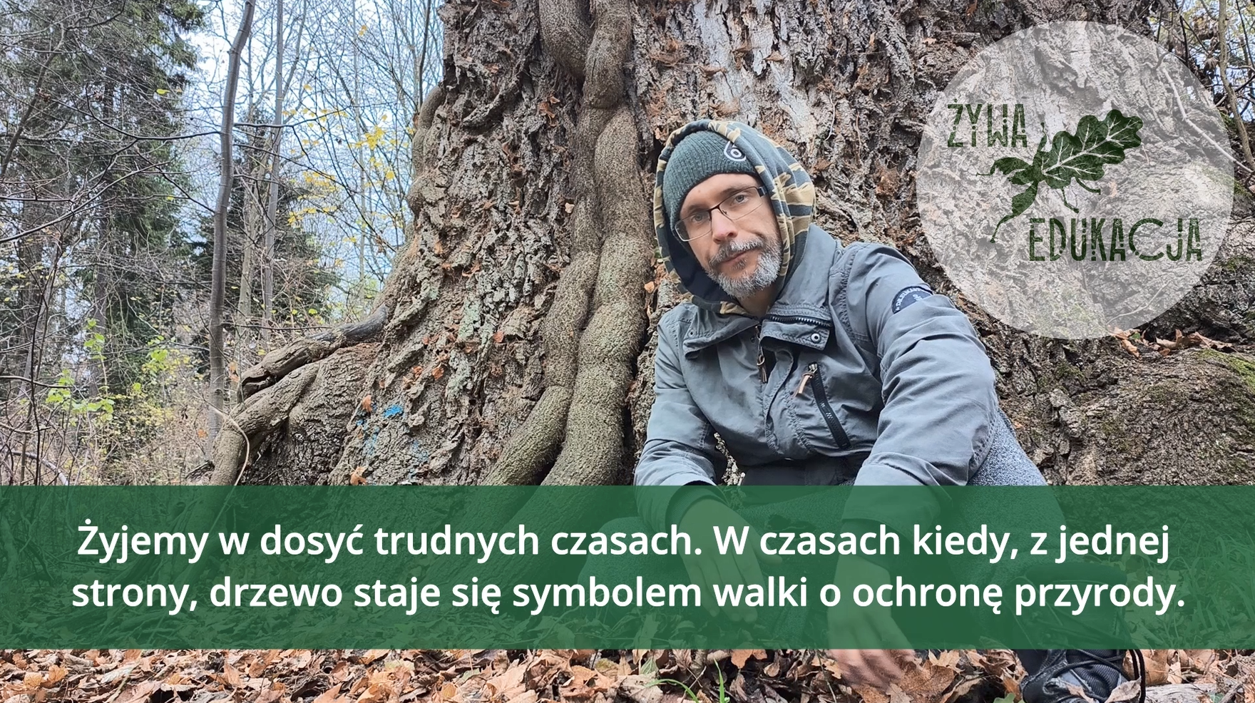 drzewo zakladnikiem postępu cywilizacyjnego