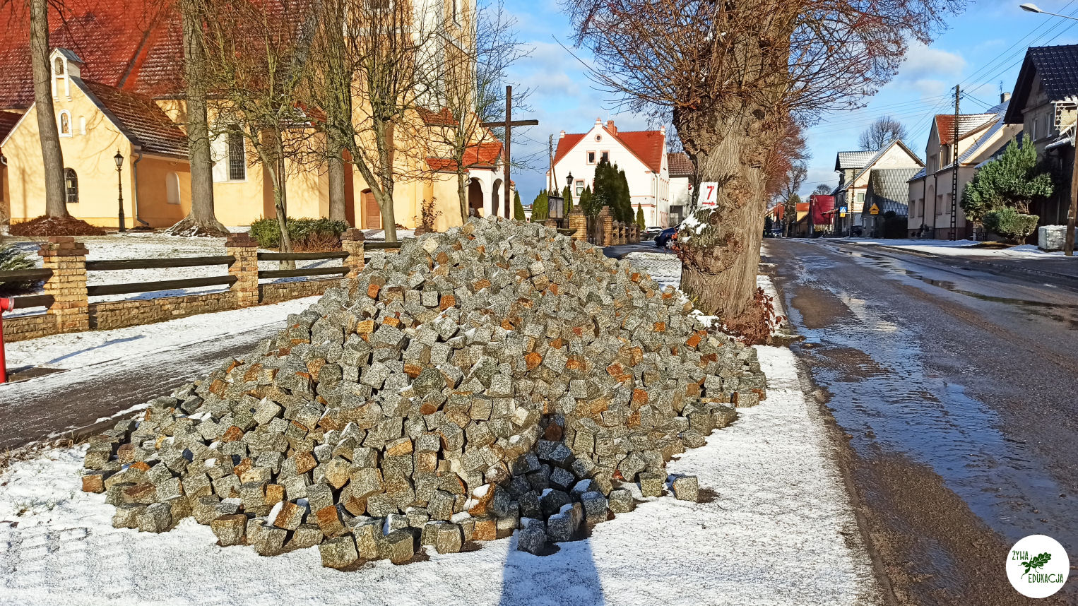 niedoradz drzewa zasypane korzenie