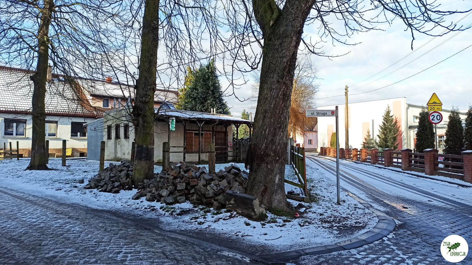 niedoradz drzewa zasypane korzenie