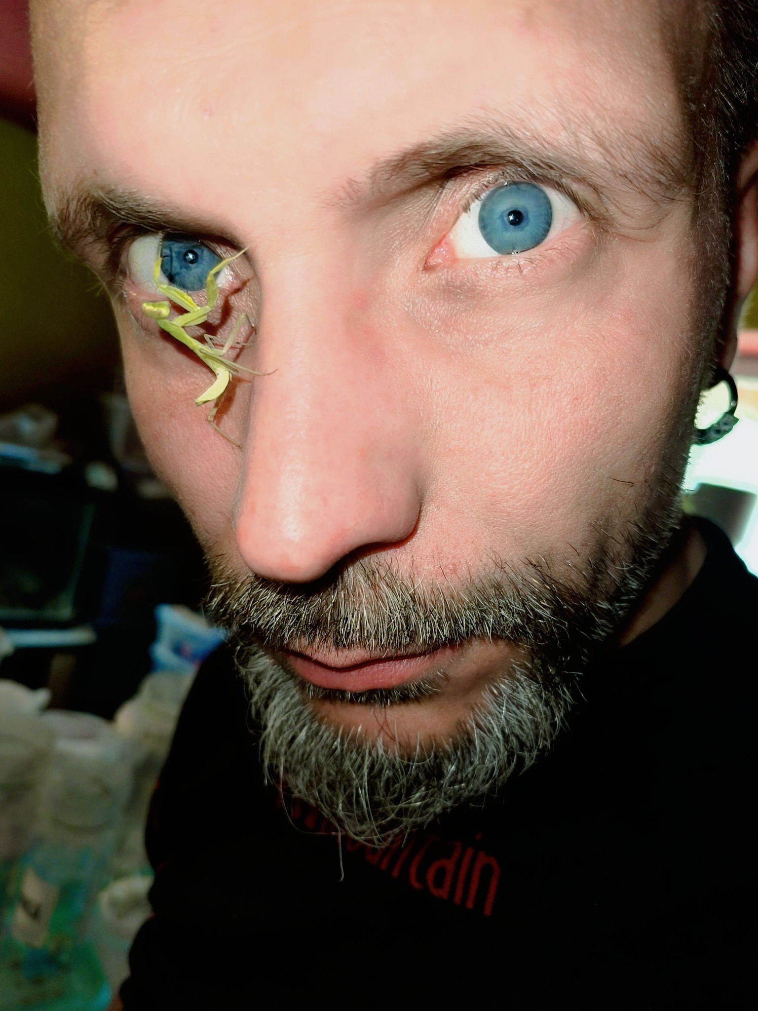 Sebastian Pilichowski i modliszka; wpis na blogu z okazji 10-lecia działalności Żywej Edukacji, firmy zajmującej się edukacją i popularyzacją przyrodniczą oraz opracowaniami przyrodniczymi i środowiskowymi