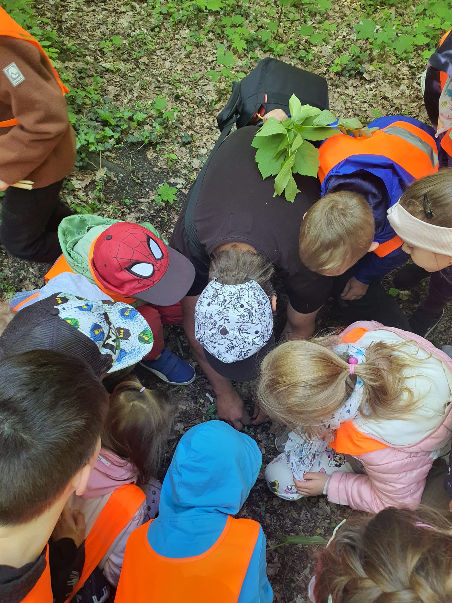 spacer z przedszkolakami po Parku Poetów w Zielonej Górze; lekcja przyrodnicza dla dzieci w lesie i parku