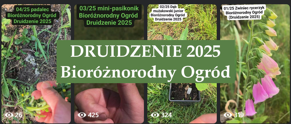druidzenie 2025 start baner