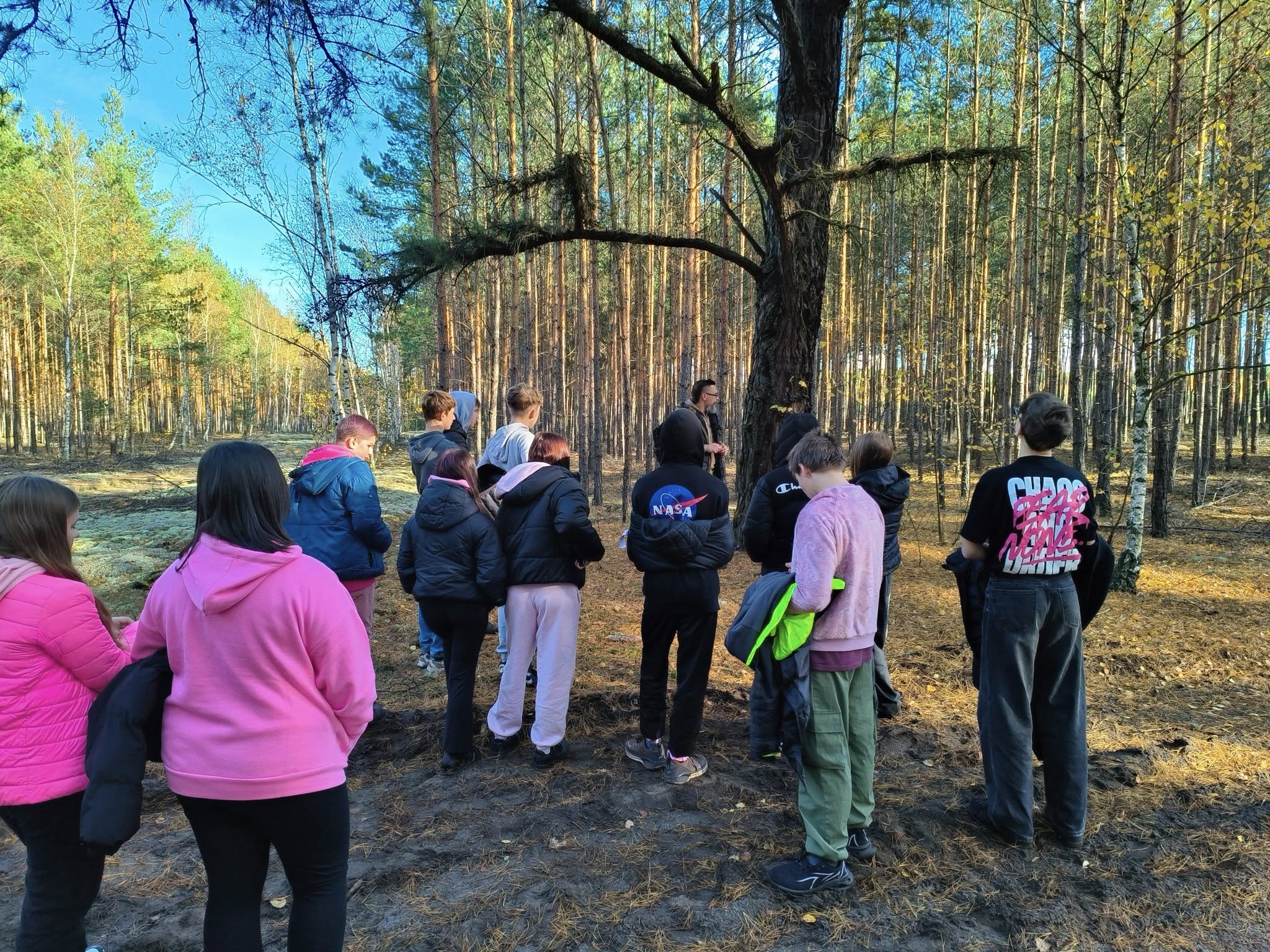 Spacer w lesie pod Zaborem, w Tarnawie, z klasą szkoły podstawowej. Edukacja w terenie, wiedza o przyrodzie lokalnej!