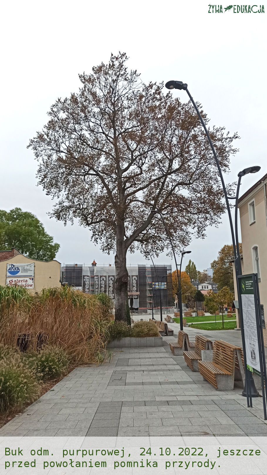 24.10.22 Buk Stanisław