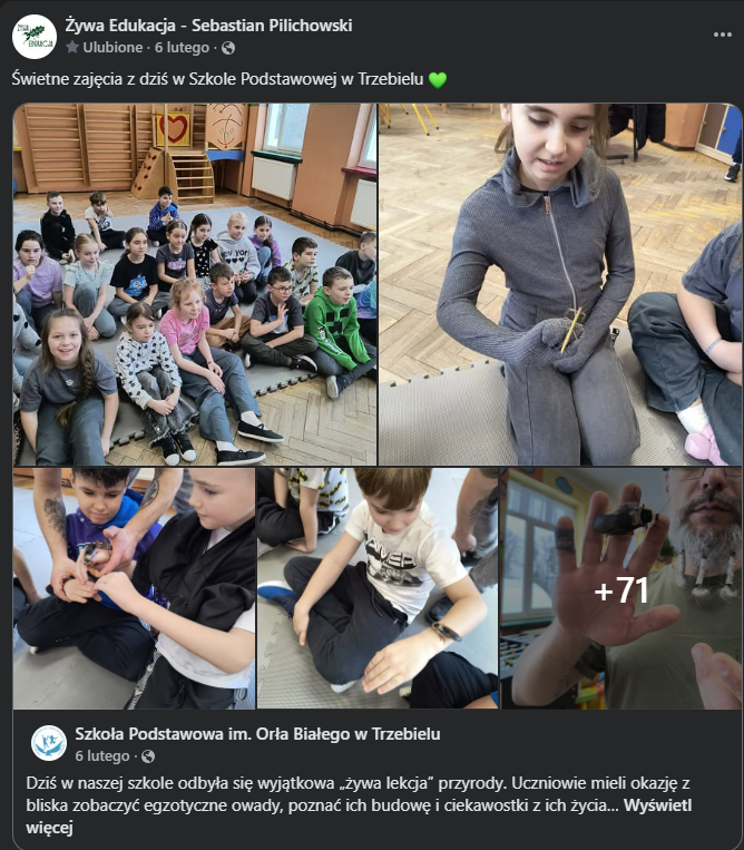 relacja fotograficzna z zajęć z owadami w szkole podstawowej w Trzebielu