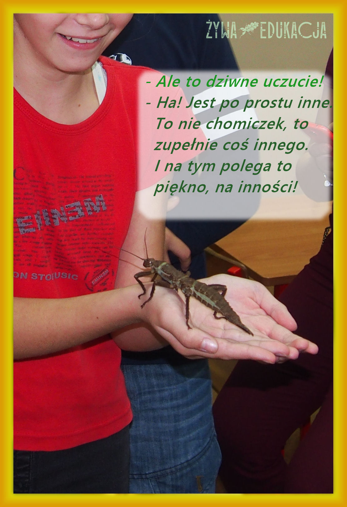 zajęcia przyrodnicze dla uczniów, dzieci, szkół i przedszkoli