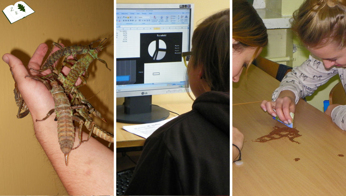 promo uslugi dos small