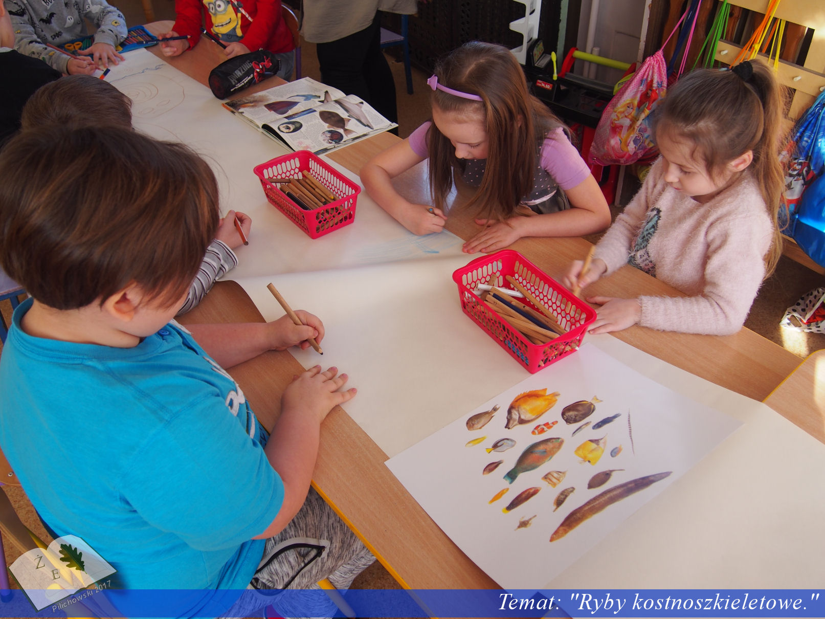 zajęcia o rybach, skamieliny, skamieniałości