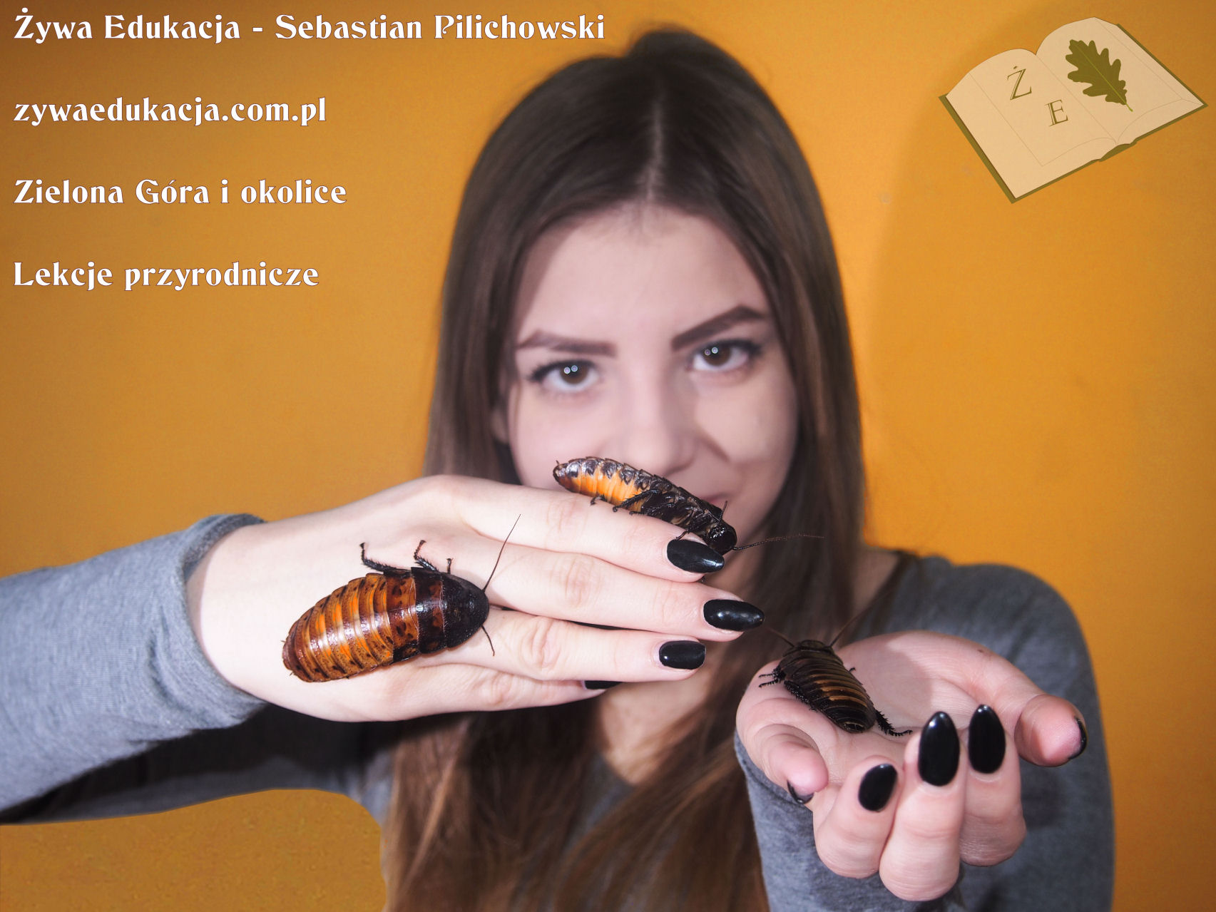 lekcja o owadach dla szkół średnich liceum technikum