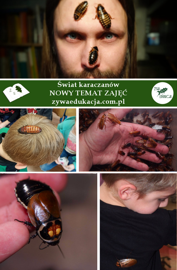 swiatkaraczanow promos