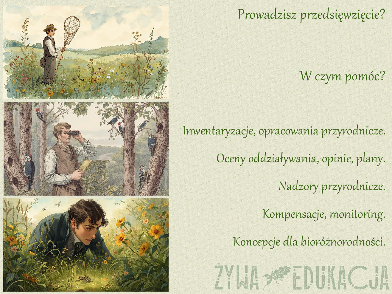 ilustracja przedstawia przyrodnika w trzech ujęciach - na łące z siatka na motyle, w lesie, na łące wśród kwiatów nad żabą; jak zamowic usluge ochrona przyrody inwentaryzacja przegląd opinia przyrodnicza