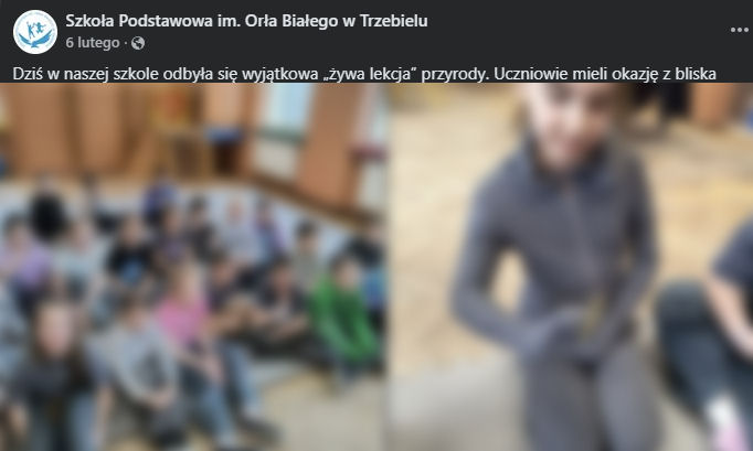 Żywa Edukacja Sebastian Pilichowski Miejski Druid - lekcja z owadami w Szkole Podstawowej im. Orła Białego w Trzebielu