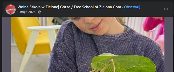 Żywa Edukacja Sebastian Pilichowski Miejski Druid - lekcja z owadami w Wolnej Szkole w Zielonej Górze