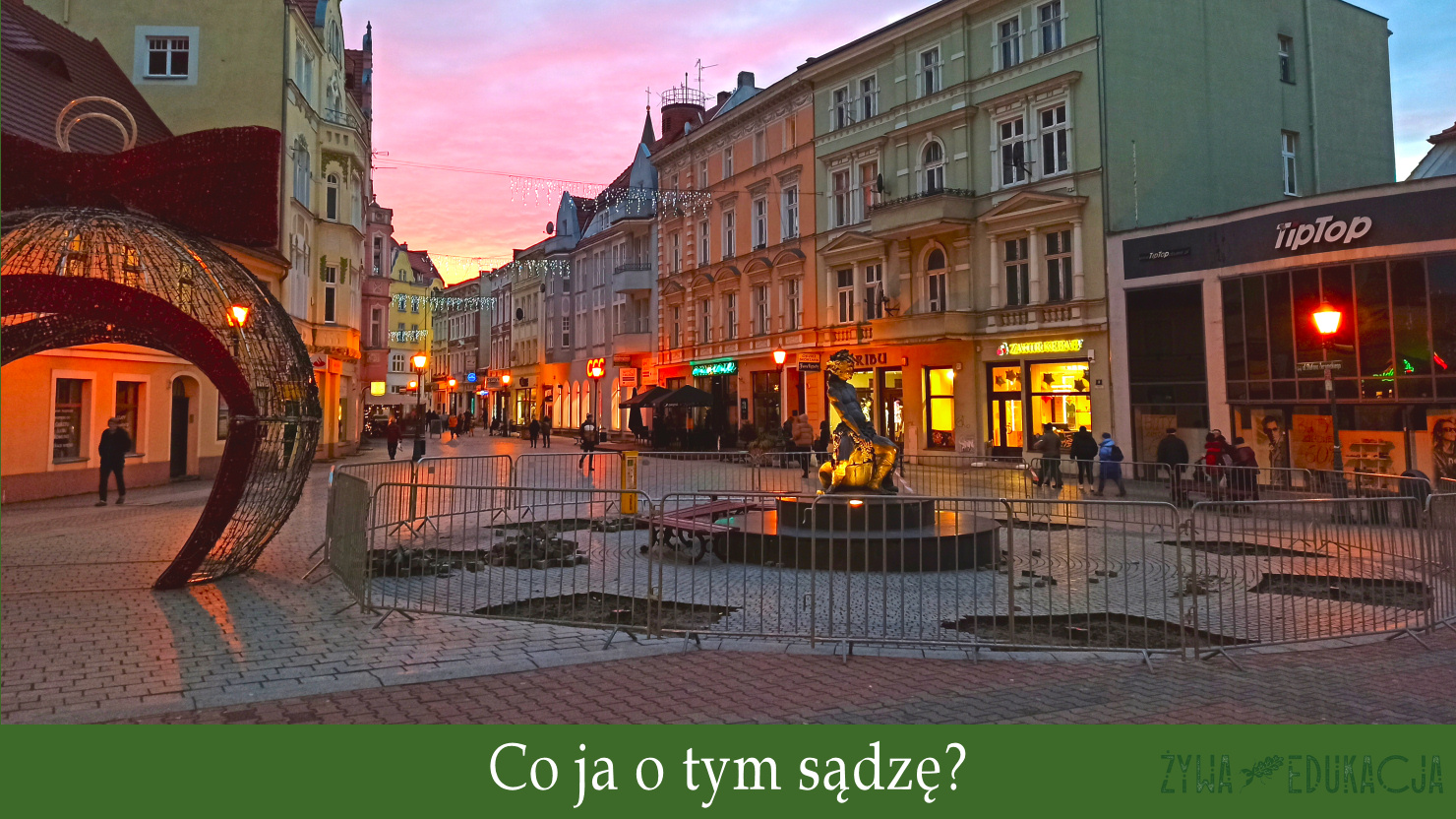 nasadzenia wokół pomnika Bachusa w Zielonej Górze - moja opinia, co ja o tym sądzę?