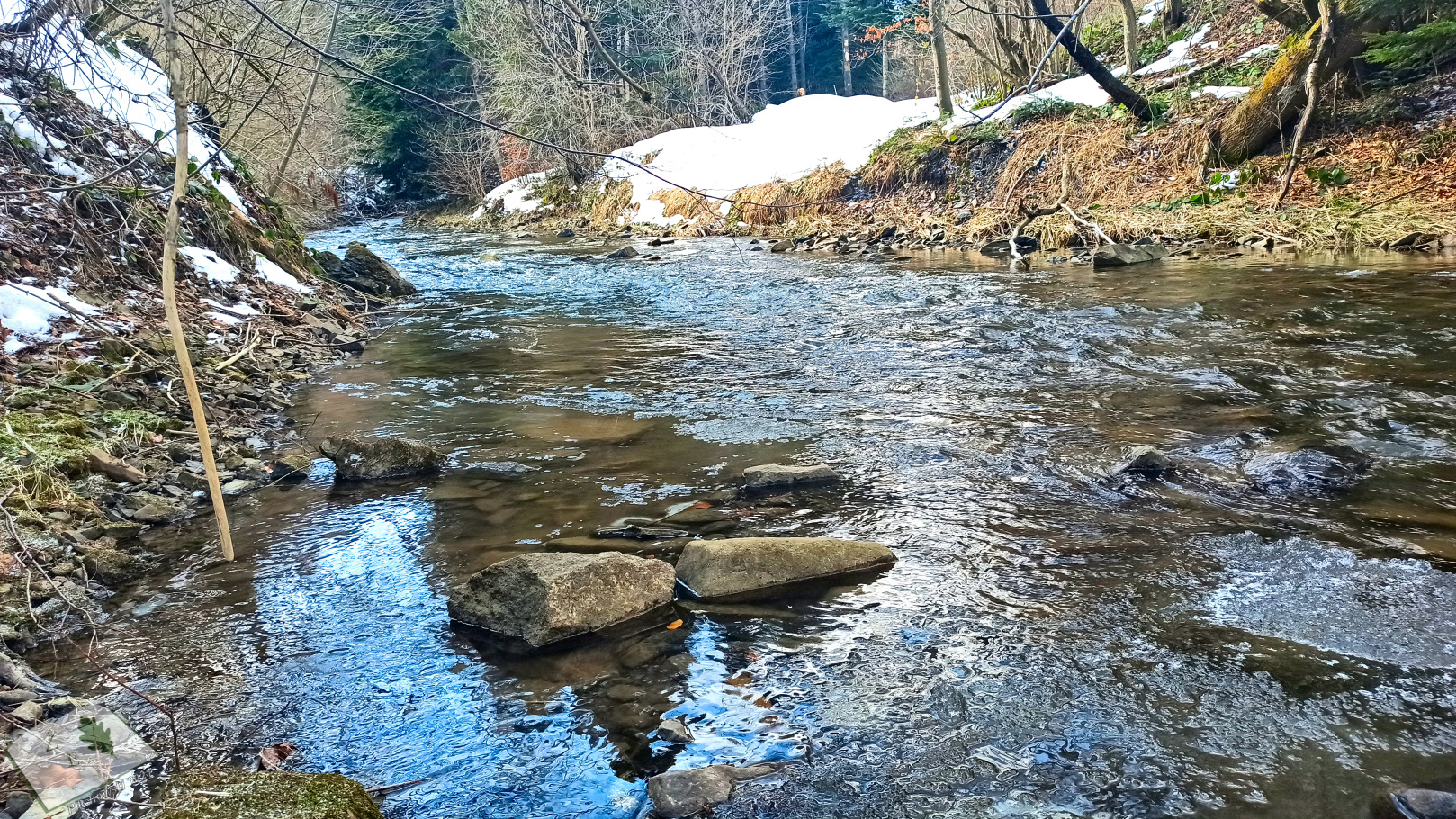 kaplicamich 032021 02