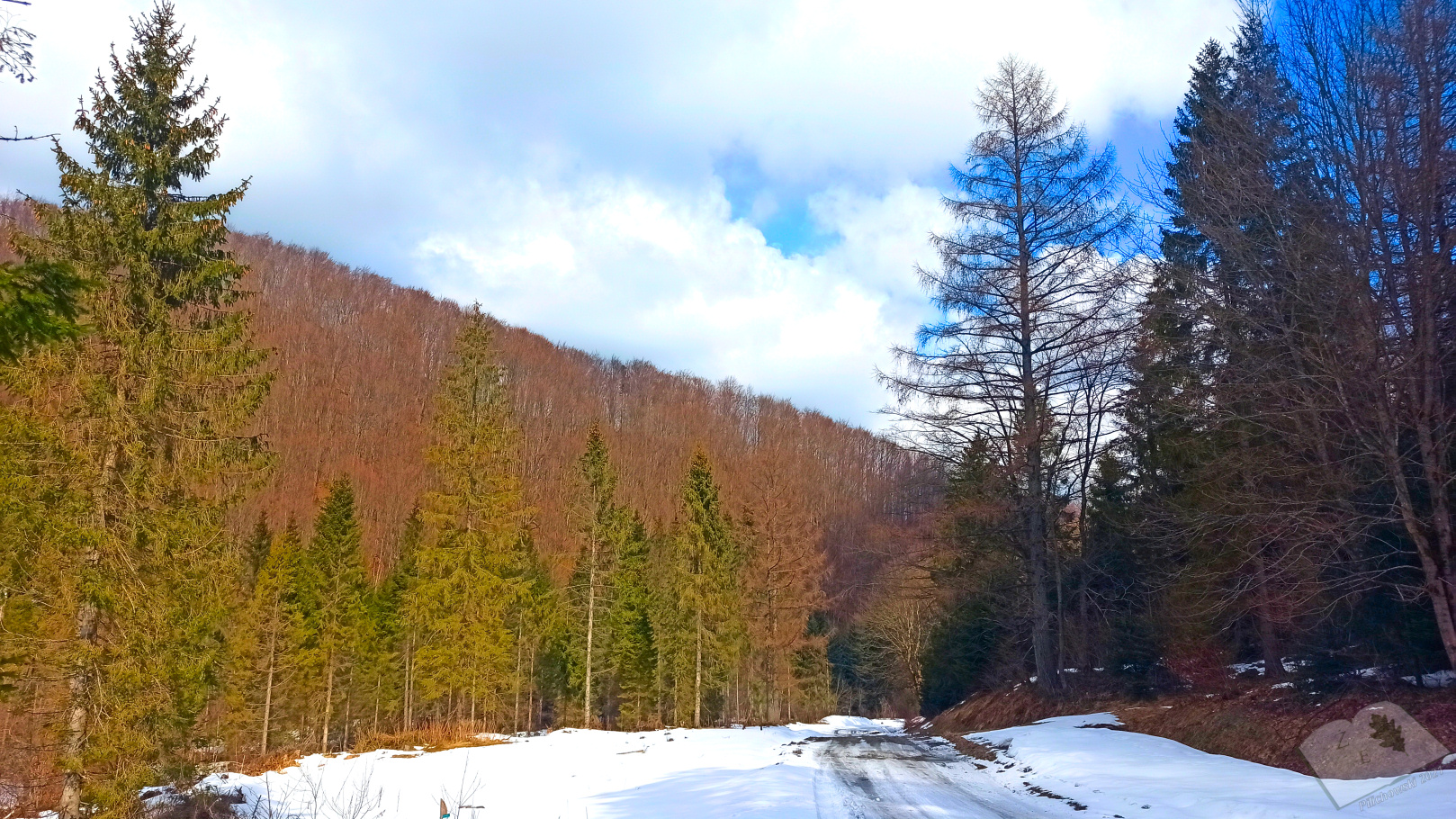 kaplicamich 032021 03