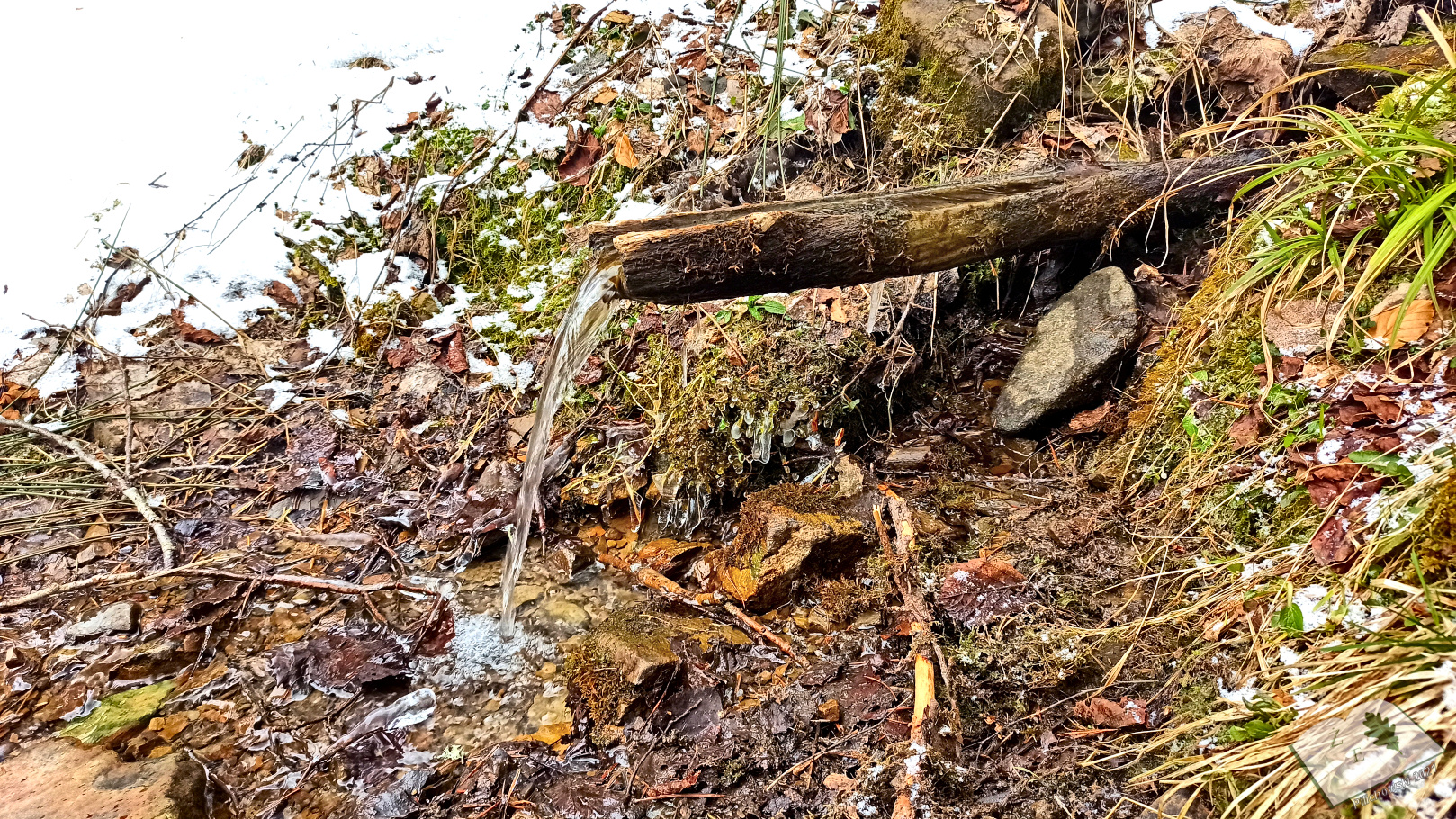 kaplicamich 032021 07