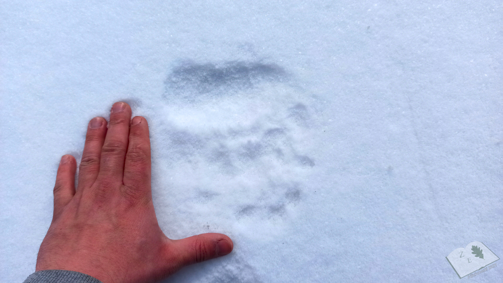 kaplicamich 032021 09