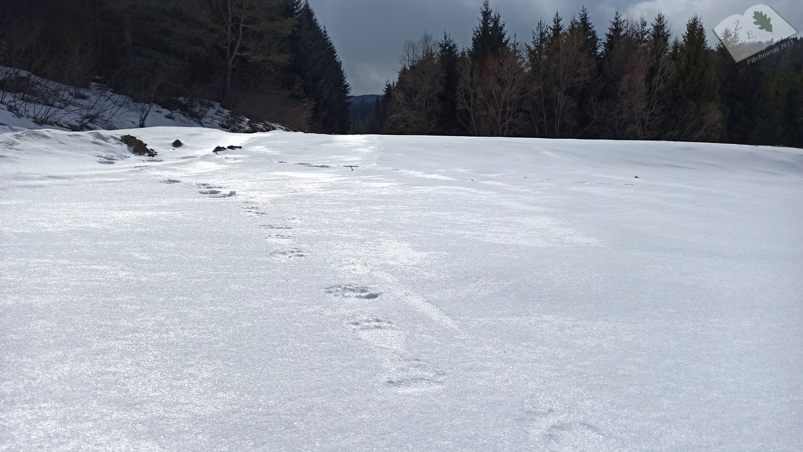 kaplicamich 032021 10