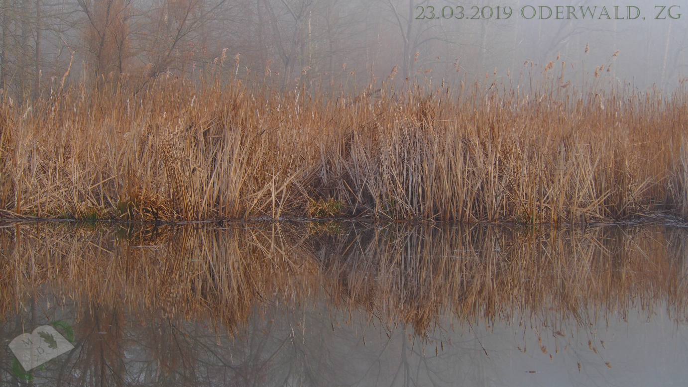 md 230319 oderwald18