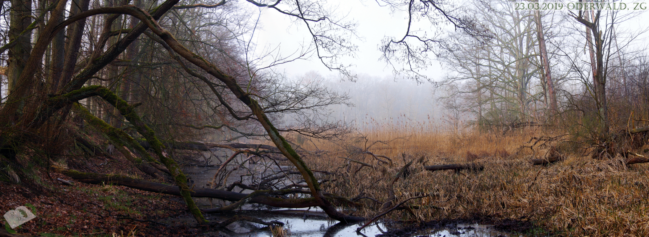 md 230319 oderwald27