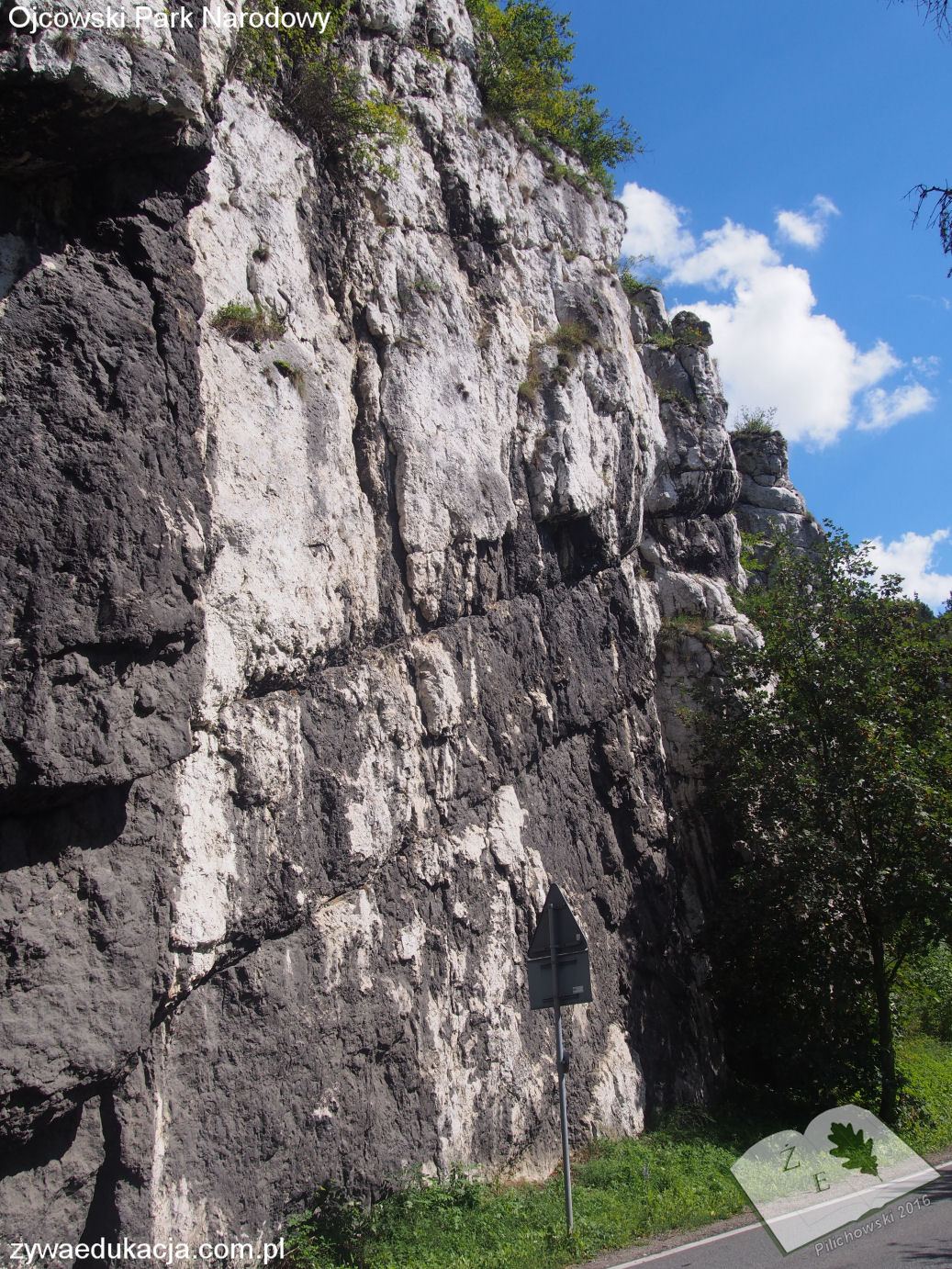 opn16 grodzisko12 skaly