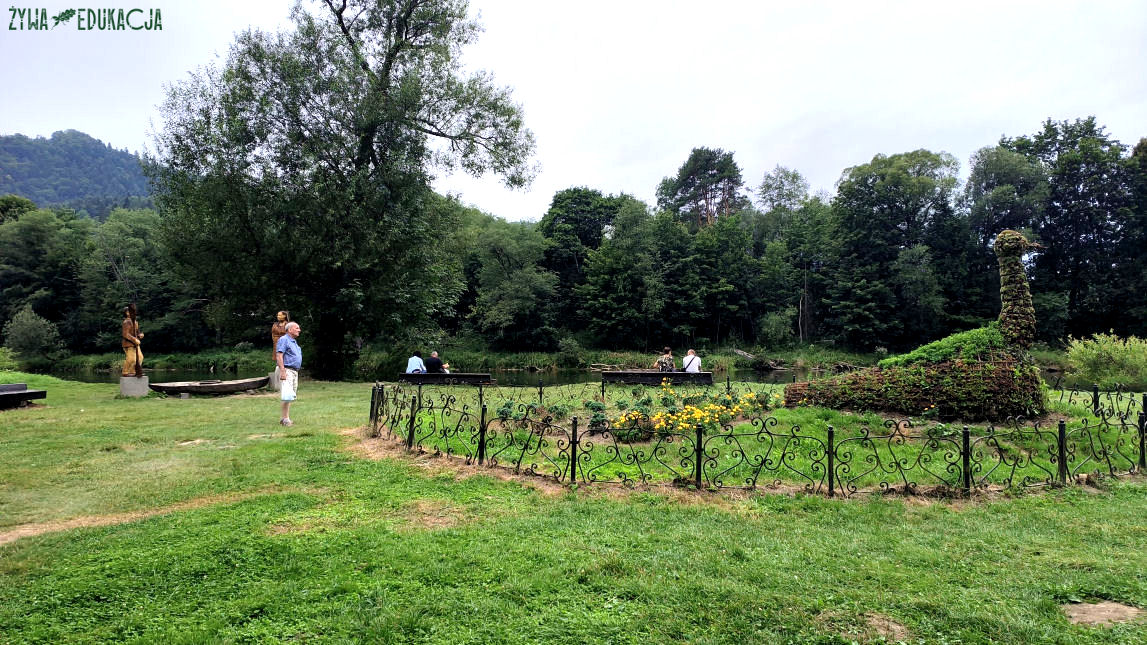 Szczawnica zwierzęta kwietniki