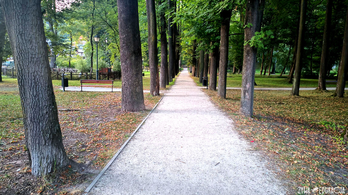 Szczawnica Park Dolny pomnikowa aleja w parku dolnym