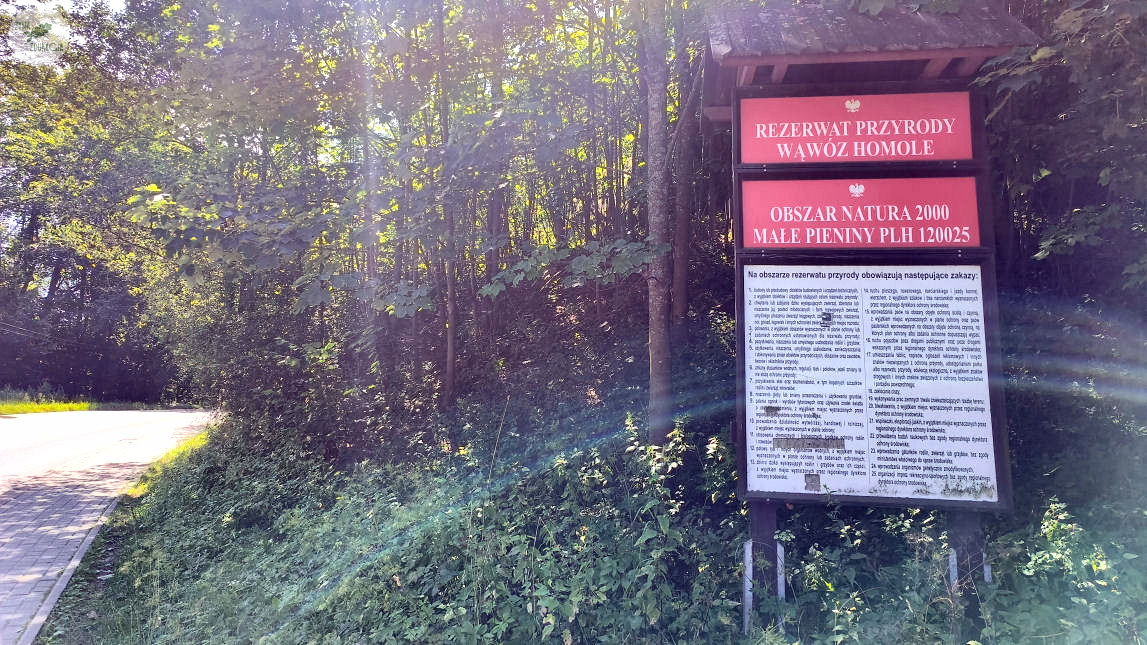 rezerwat Wąwóz Homole Jaworki pieniny 