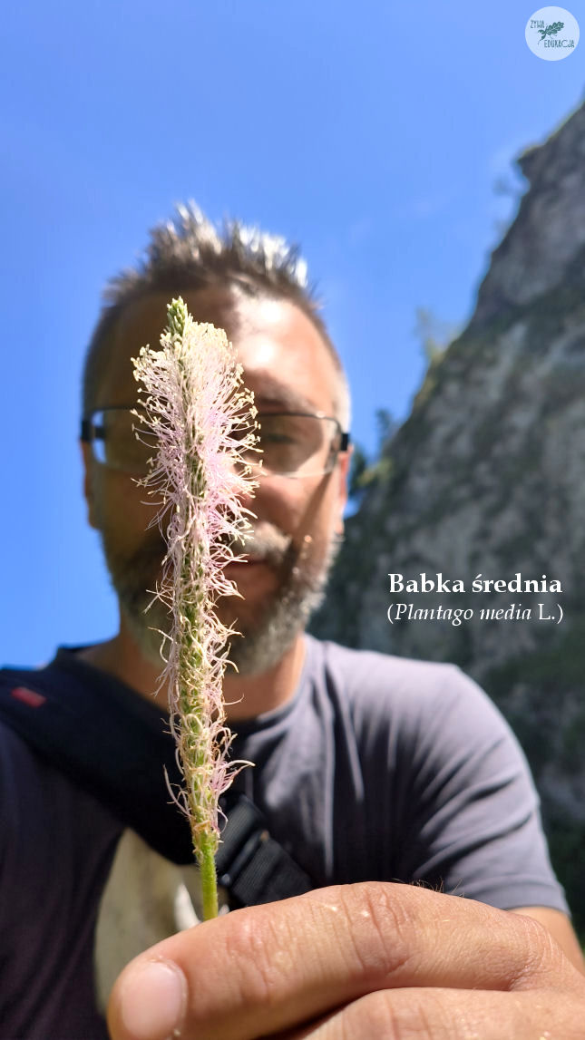 wąwóz homole małe pieniny żywa edukacja sebastian pilichowski