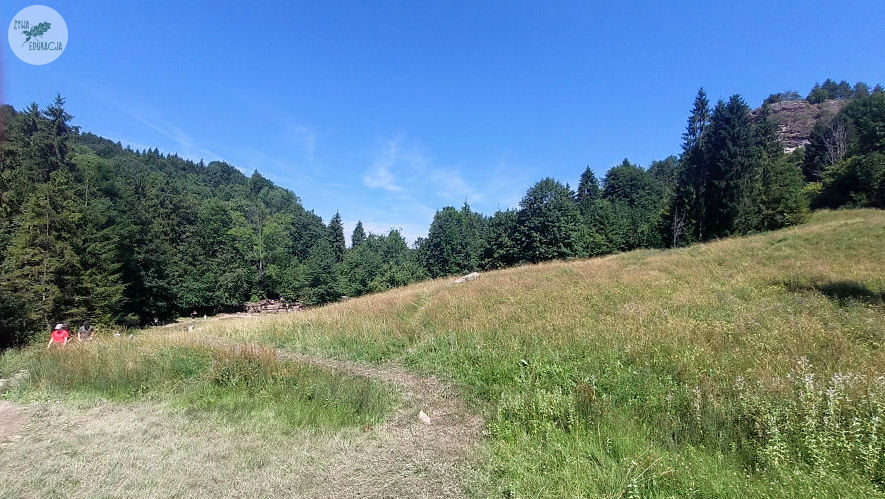 małe pieniny góra wysoka homole sebastian pilichowski żywa edukacja