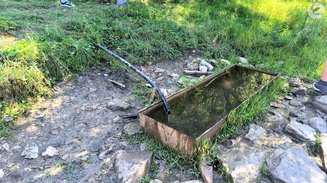 małe pieniny góra wysoka homole sebastian pilichowski żywa edukacja