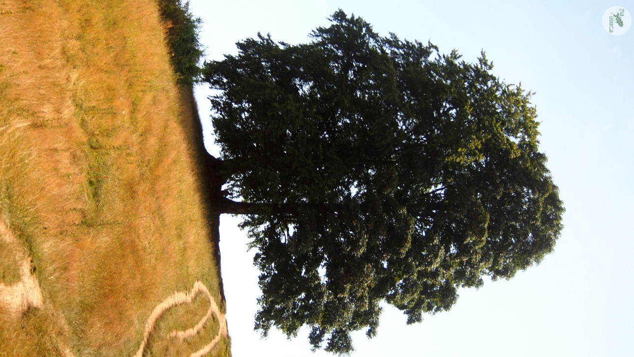 małe pieniny góra wysoka homole sebastian pilichowski żywa edukacja