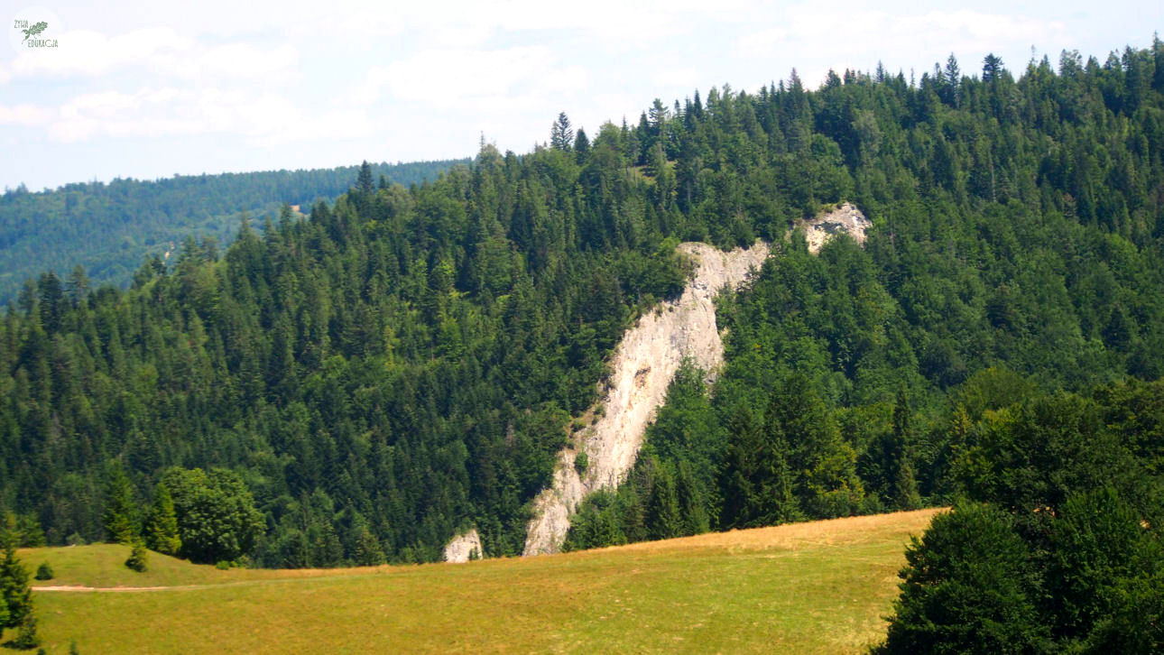 małe pieniny góra wysoka homole sebastian pilichowski żywa edukacja