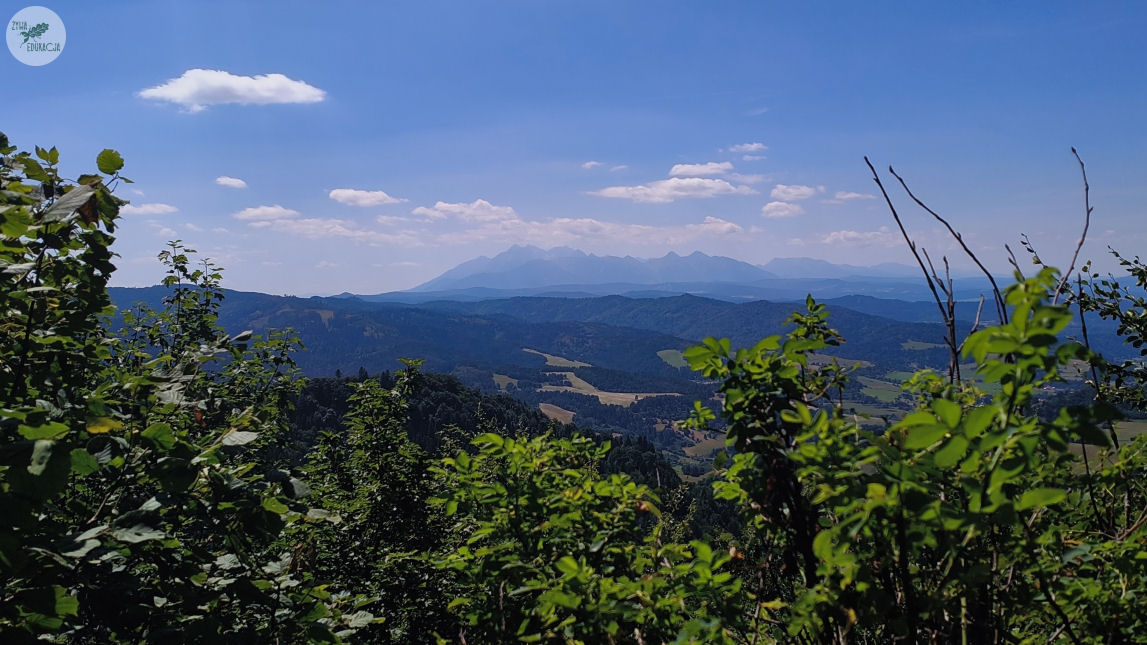 małe pieniny góra wysoka homole sebastian pilichowski żywa edukacja