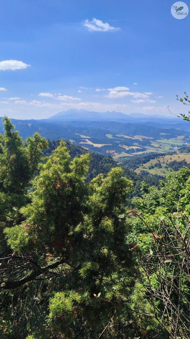 małe pieniny góra wysoka homole sebastian pilichowski żywa edukacja