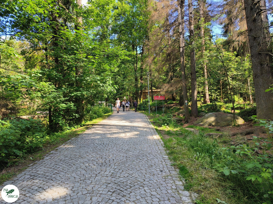 galeria Szczeliniec Wielki lipiec 2023